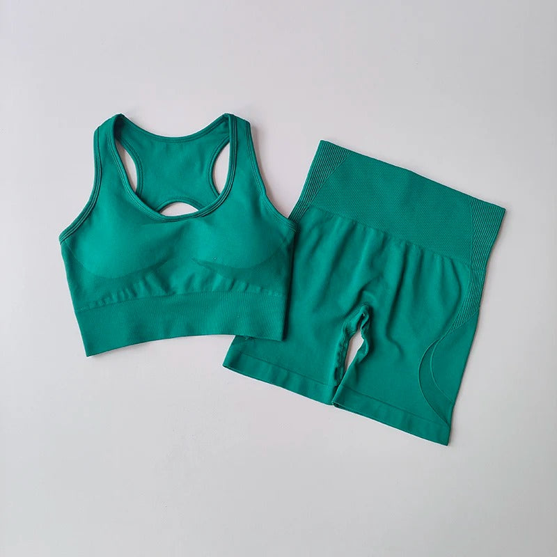 2 Piece Yoga/Gym Set